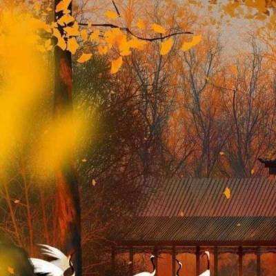 东京战纪无限钻石私服版游戏下载